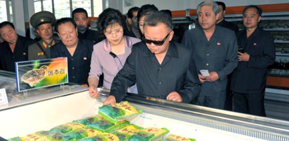 קים ג'ונג איל / מתוך אתר: kimjongillookingatthings